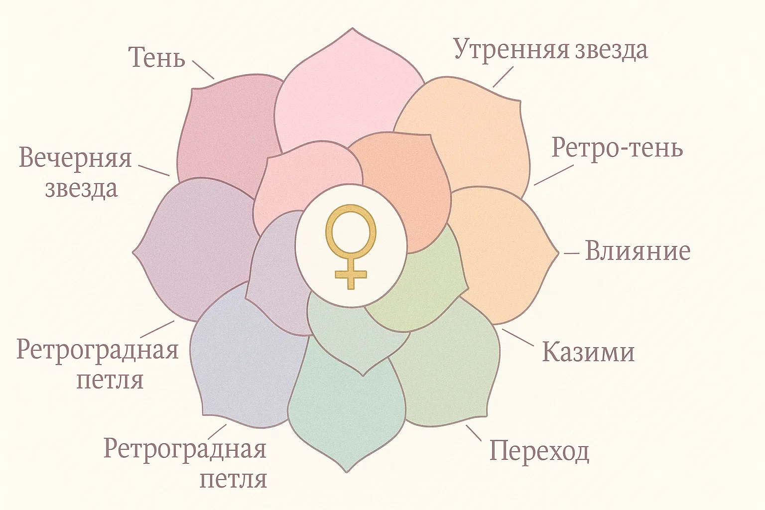 Инфографика цикла Венеры