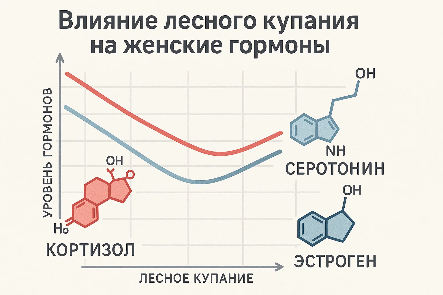 Диаграмма гормональных и нервных эффектов леса